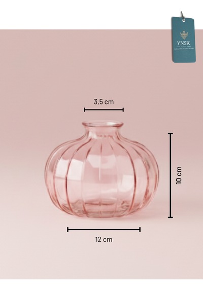 Chacha Home Modern 3'lü Minimalist Cam Çiçek Vazosu Dekoratif Masa Üstü Vazo Seti Açık Pembe