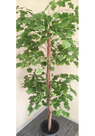 Rüzgar Çiçekcilik 180 Cm Sakura Ağacı Yeşil