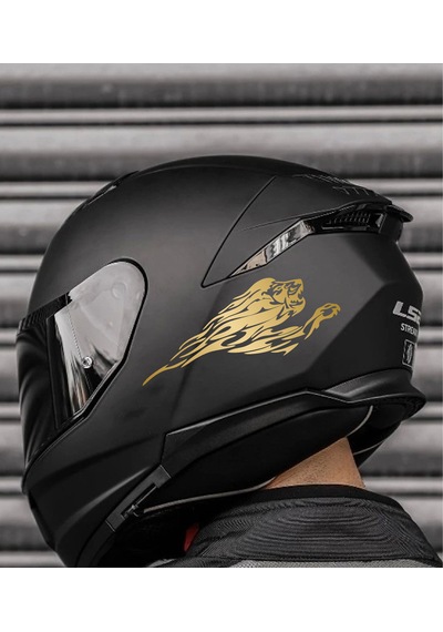 Aslan Sticker 2 Adet - Araba Oto Motosiklet Karavan Cam Sticker - 00109 15x5 Cm