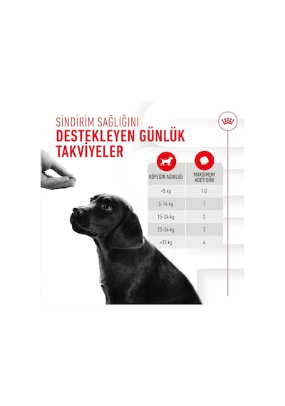 Royal Canin Immunity&digestion Chews Bağışıklık Ve Sindirim Sistemini Destekleyen Tamamlayıcı Ödül Maması 100 G