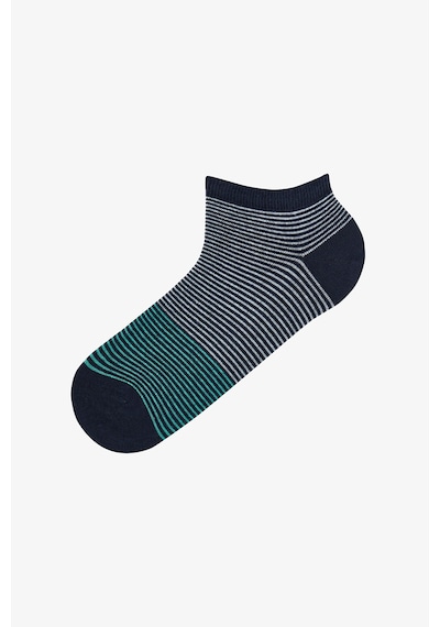 Penti Erkek Renkli Stripe Fade 3'lü Patik Çorap