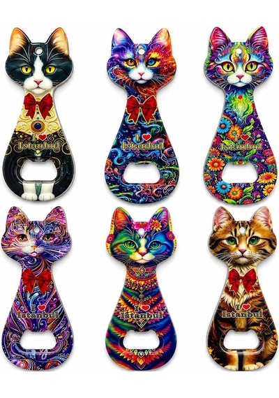 Kedi Tasarımı İstanbul Temalı Buzdolapı Süsü Magnet Alk5408