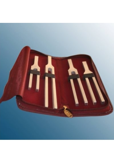 Medishop Dyapazon Set 4 Lu