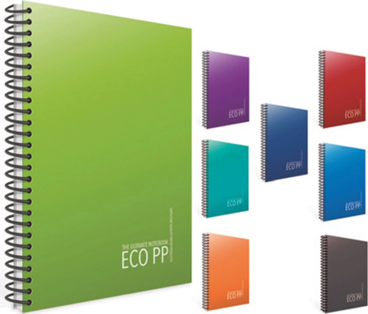 Eko Pp A4 60 Yaprak Kareli Spiralli Plastik Kapak 3 Lü Defter Seti 3 Adet