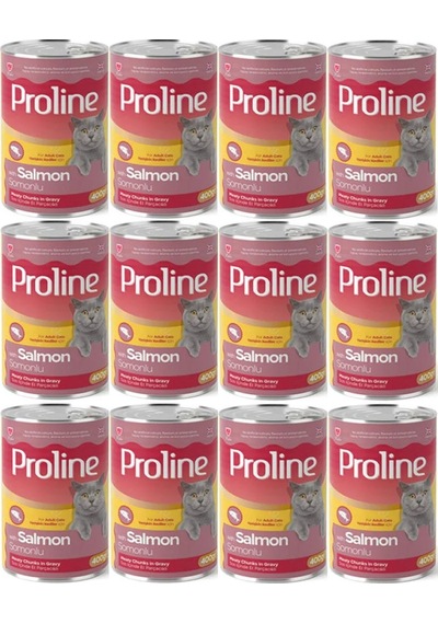Pro Line Somonlu Yetişkin Kedi Konservesi 12 x 400 G