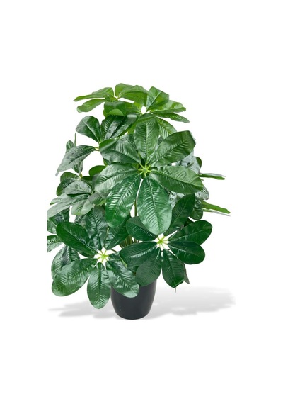 Yapay Çiçek Saksıda Şeflera Bitkisi 18Dal 75cm Salon Çiçeği Yapay Bitki Pachira Macrocarpa