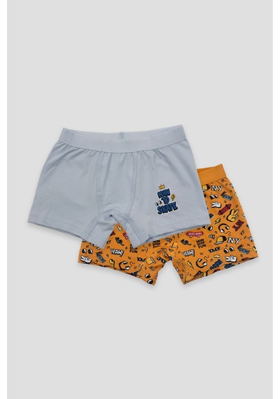 Defne Baby Erkek Çocuk Desenli Premium Pamuklu 2'li Boxer Seti Çok Renkli