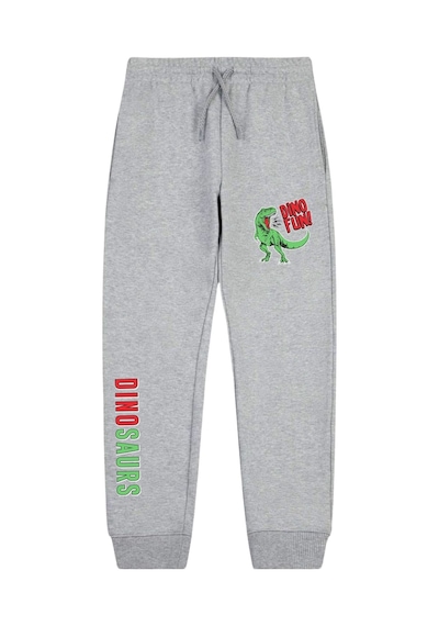 Panios Kids 5'li Baskı Detaylı Çift Cepli Erkek Çocuk Jogger Eşofman Altı Çok Renkli