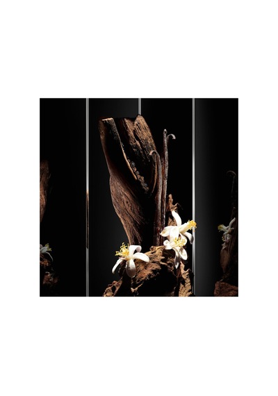 Myslf Le Parfum 100 Ml Erkek Parfüm 3614274114645 Fresh