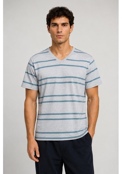 Alexandergardi V Yaka Çizgili T-shirt Gri