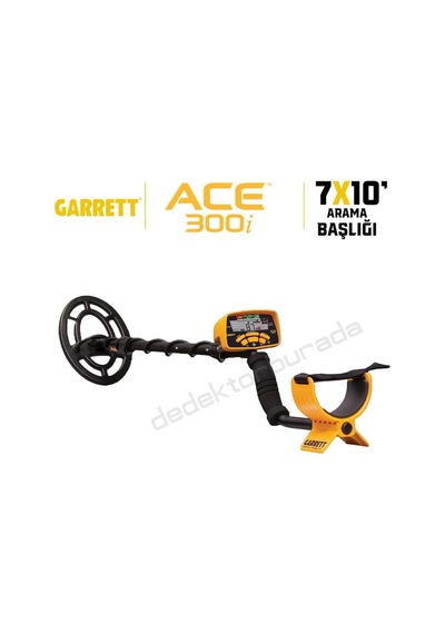 Garrett Ace300i