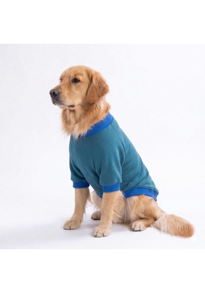 Eeyore Creek Orta-büyük Irk İçin Köpek Sweatshirt Köpek Sweat Köpek Kıyafeti