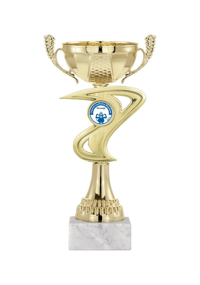 Odak Kupa - Economy Kupalar - Eco-018 A - 24 Cm Altın - Beyaz