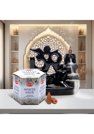 Hem Tütsü Geri Akış Şelale Beyaz Adaçayı Kokulu 40 Konik Tütsü - White Sage Backflow Incense Cones