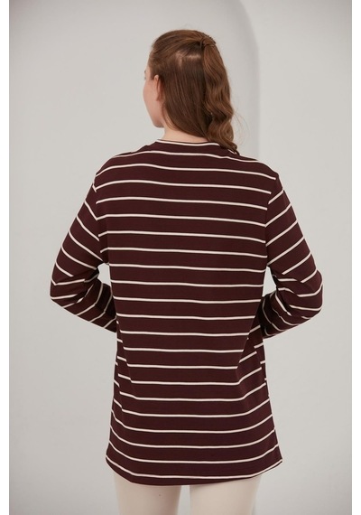 Alexander Gardi Alexandergardı Çizgili Sweatshirt (E22-73201)