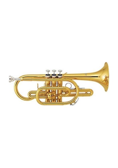 Jinbao JBCR900L Kornet (Lacquer)