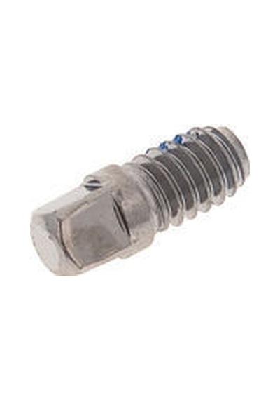 Dw Drums Dwsm029 3/8 Inch Key Screw