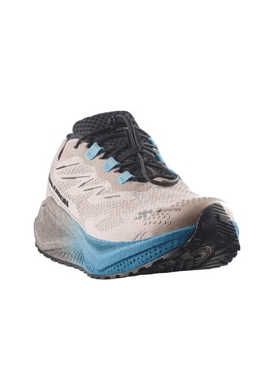 Salomon Aero Blaze 4 Grvl Gore-tex Erkek Koşu & Yürüyüş Ayakkabısı-l45403300 Çok Renkli