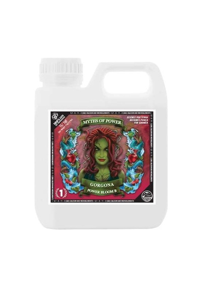 Terra Power Power Bloom B 500 ML