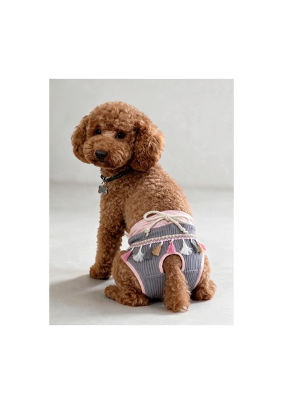 Mini Tassel Lilly Dişi Köpek Regl Külotu Köpek Donu Köpek İç Çamaşırı Pet Kıyafet Küçük Irklar İçin