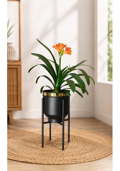 Ayaklı Metal Saksı Siyah Gold Detaylı Dekoratif Çiçeklik 41x21cm Diğer