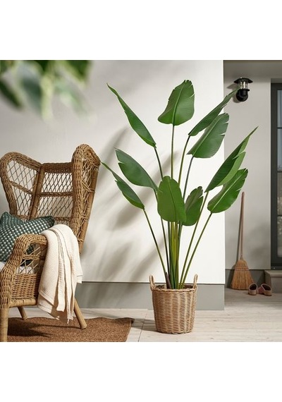 Ikea Fejka Yapay Bitki, Yeşil, 23 Cm, İç/dış Mekan Cennet Kuşu