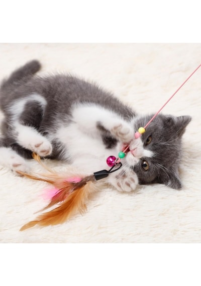 2 Adet Kedi Oyun Oltası 90 Cm Esnek Renkli Aksesuarlı