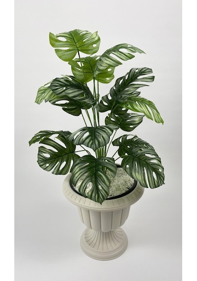 Biçiçek Yapay Monstera Deve Tabani 70 Cm Krem Nergi̇s Saksıda
