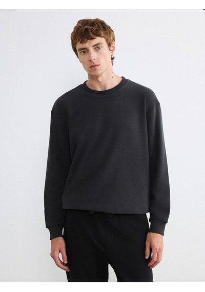 Lcw Vision Antrasit Regular Fit Bisiklet Yaka Erkek Sweatshirt
