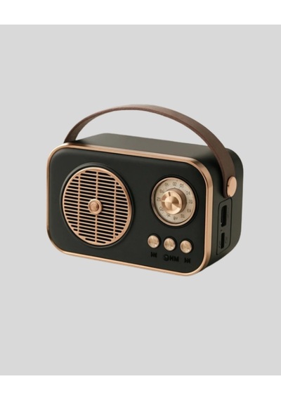 Buğz Bluetooth Lu Retro Radyo Fm Destekli Nostaljik Hoparlör