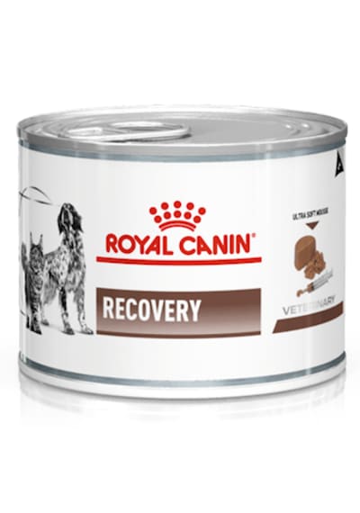Royal Canin Recovery Kedi & Köpek Yoğun Bakım Yaş Mama 195 Gr