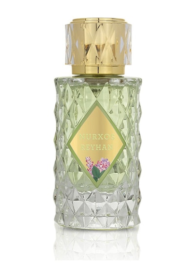 Nurxos 9721 Reyhan Edp Erkek Parfümü 8681124697219 65 ML