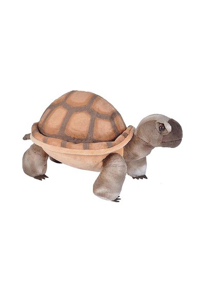Wild Republic Çöl Kamplumbağası 30 Cm 22001 Çok Renkli
