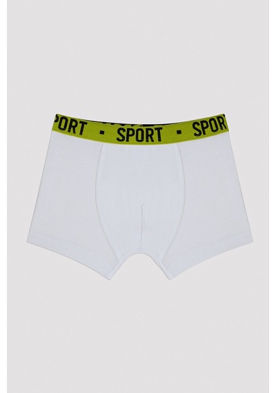 Penti Erkek Çocuk Cool Spor 2li Boxer Çok Renkli