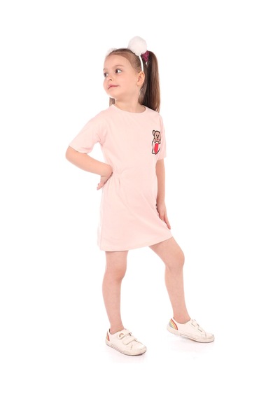 Toontoy Kids Toontoy Kız Bebek Nakışlı Elbise Pudra