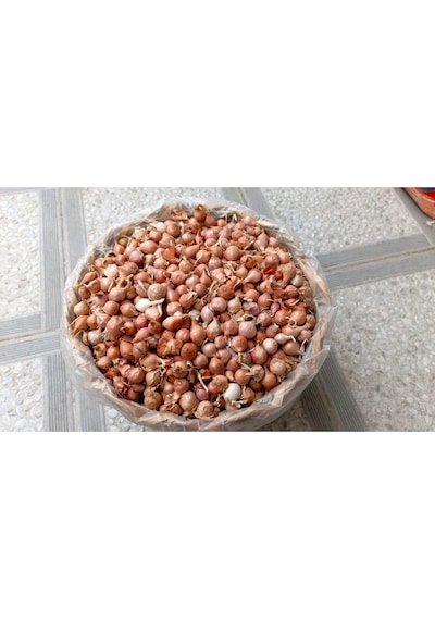 Iska 2 Kg Arpacık Soğan 1 Paket