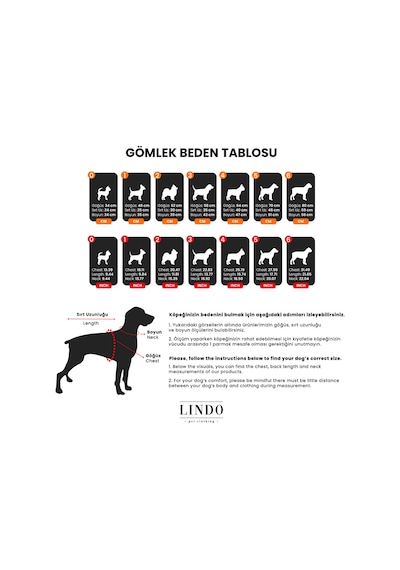 Flamingo Küçük Ve Orta Irk Köpek Gömleği