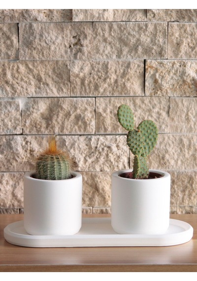 Bernami Vazo Pinterest Mini Silindir Sukulent Saksı Oval Tabaklı Set Dekoratif Hediyelik Ham Beyaz Diğer