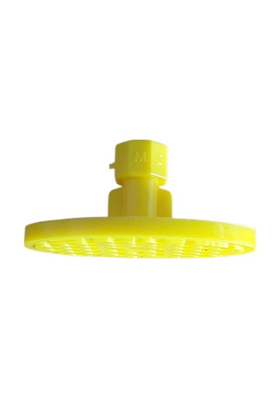 20714 Öpücük Oval Düz 20714