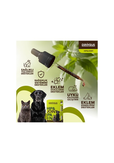 Kedi Ve Köpek İçin Kalça Ve Eklem Sağlığı Desteği - Ağrı Giderici- Sağlıklı Yaşlanma Destekleyici