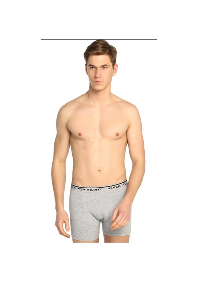 Seher Yıldızı Seher Yıldız 3'Lü Paket Gri Lycra Erkek Boxer