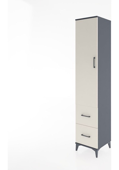 Hyperion Dolap 4 Raflı 2 Çekmeceli Tek Kapaklı 44x44x221 Antrasit-aytaşı Antrasit