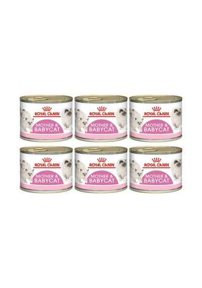 Mother And Baby Cat Konserve 195 Gr 6 Adet