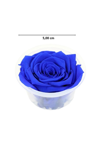 Şoklanmış Solmayan Gül. 5 CM - Lacivert