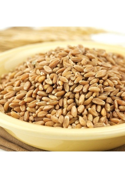 Bizim Yem Ayvalık Baharat Buğday Tavuk Güvercin Yemi 3 KG
