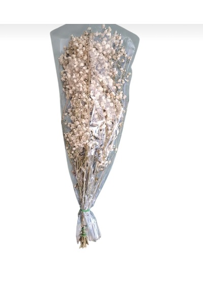 Şoklanmış Kurutulmuş Cipso Çiçeği 1 Demet 50-60gr - 35-45cm Naturel