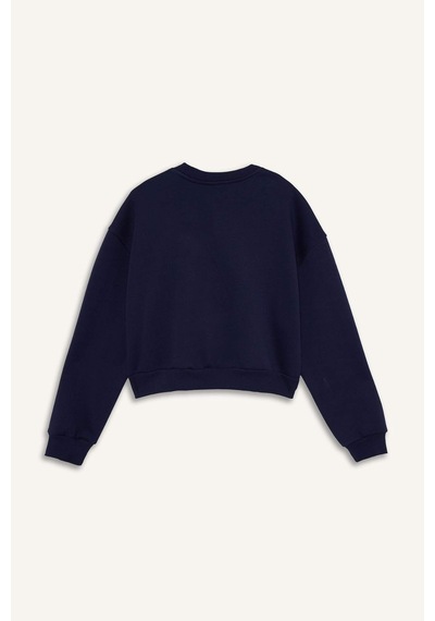 Defacto Boxy Fit Bisiklet Yaka İşlemeli Kalın Sweatshirt G2153ax25wnnv28 Lacivert