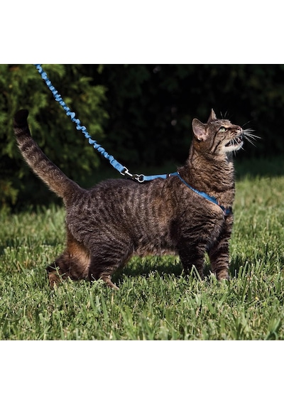 Petsafe Easy Walk Cat Harness Kedi Gezinti Tasması Mavi Medium 27-36 Cm