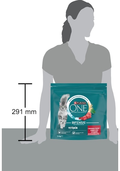 Purina One Sığır Etli Kedi Maması 1,4 Kg