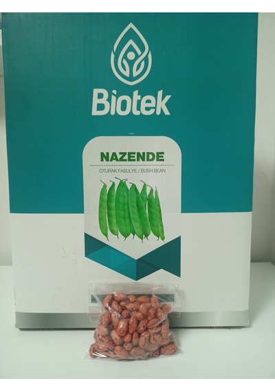 Biotek Oturak Nazende Fasulye Tohumu 100 Gr 1 Adet